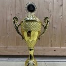 써밋태권스쿨 이미지