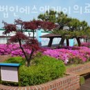 의료법인 에스앤케이의료재단 이미지