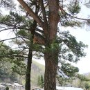 소롯골경로당 이미지