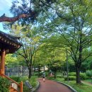 송이공원 화장실 이미지