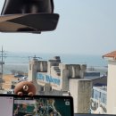 108 | 영흥도 애견동반 펜션 선재도 러블리펫 108 내돈내산 후기