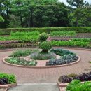 여미지식물원 이미지