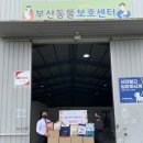 부산 반려견 장례식장 펫로스케어 - 부산일보 기사 소식 이미지