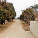 파평면사무소 앞 이미지