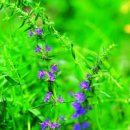 미성온천 이미지