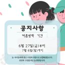 금음악교습소