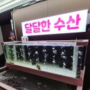 예소담 태안펜션 수영장 갯벌 낚시 모두 즐기는 가족펜션 <b>예소담</b>