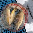 척산낚시터 이미지