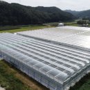 도비농장 이미지