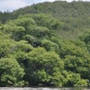 반곡저수지 이미지