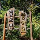 횡성군관광안내소 이미지