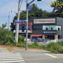 고양이카페 아이캣유 이미지