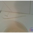 119화장실 이미지