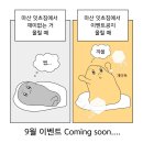 잇츠짐 | [마산헬스/양덕동피티] 후기로 인정받고 사랑받는 잇츠짐🥰