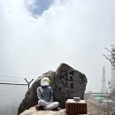 팔공산온천관광호텔 | 팔공산 산행(22산/100대명산) : 케이블카 코스(비추) + 팔공산관광호텔 온천(강추)