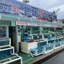 감포은정횟집 이미지