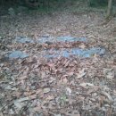 석부농장 이미지