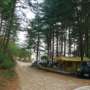 아트인아일랜드야영장 이미지