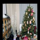 용희식당 | 백종원♥소유진 11세 아들, 170cm 엄마 키 따라잡은 폭풍 성장…“아들과 잔나비 콘서트 데이트”했어요