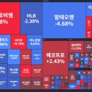 11월 첫주 주간시황 이미지