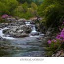 거창-북상-3 이미지