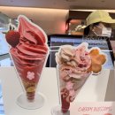2025 롯데월드몰 Blossom Dessert Festa 콘서트 by 디오니즈 벚꽃아이스크림 후기