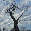 신미목장 | 서산 여행 방학때 가볼만한 역사유적지 해미읍성 천주교 박해의 아픔이 서려있는 곳