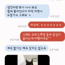 고양이미용호텔_미야옹 이미지