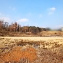 금촌 공인중개사사무소 이미지