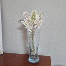 세븐일레븐 양산제일점 | 홋카이도 여행 쇼핑 리스트/더 로열 파크 캔버스 호텔 후기