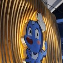 문어다리여덟개 이미지