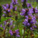 무등헬스케어 이미지