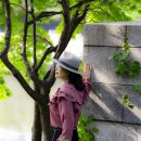 용산-이촌-31 이미지