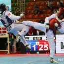 꿈나무 태권도 체육관 이미지