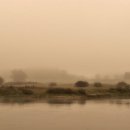 선산대로3-1 이미지