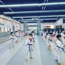 표선태권도장 이미지