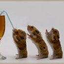 대화약국 이미지