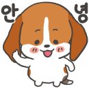 삼촌이모과일 이미지