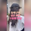 시코드헤어