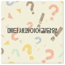 소월902 | 2025 담양 메타세콰이어길 입장료 주차장 맛집 자전거 이벤트 완벽 정리