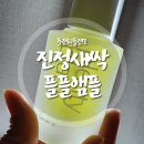 플랜티 주식회사 | 색소침착+피부진정 멜팅리프 새싹진생 "플플앰플" 새싹인삼원물함유