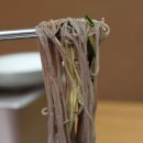 둔내막국수 네이버블로그