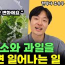 예방원한약국 이미지