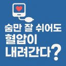 호흡과명상 | 숨만 잘 쉬어도 혈압이 내려간다? – 혈압 안정에 좋은 호흡법과 명상, 실제후기