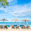 화려한휴식 이미지