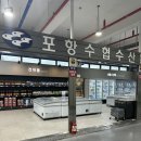 [포항] 포항수협 송도활어회센터 자연산 회 방문포장 후기