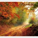 죽성 드림세트장   이미지