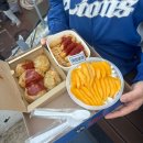 언더아머NC | 💙⚾️20260410 대구삼성라이온즈파크 VIP석 직관 후기 (1열 시야, 먹거리)