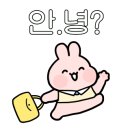 박수연헤어 이미지