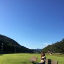 서천변로 이미지